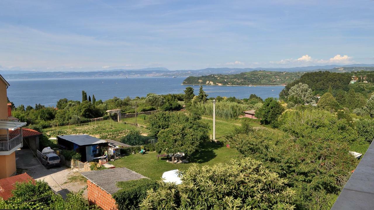 Apartments Neja Piran Exterior photo