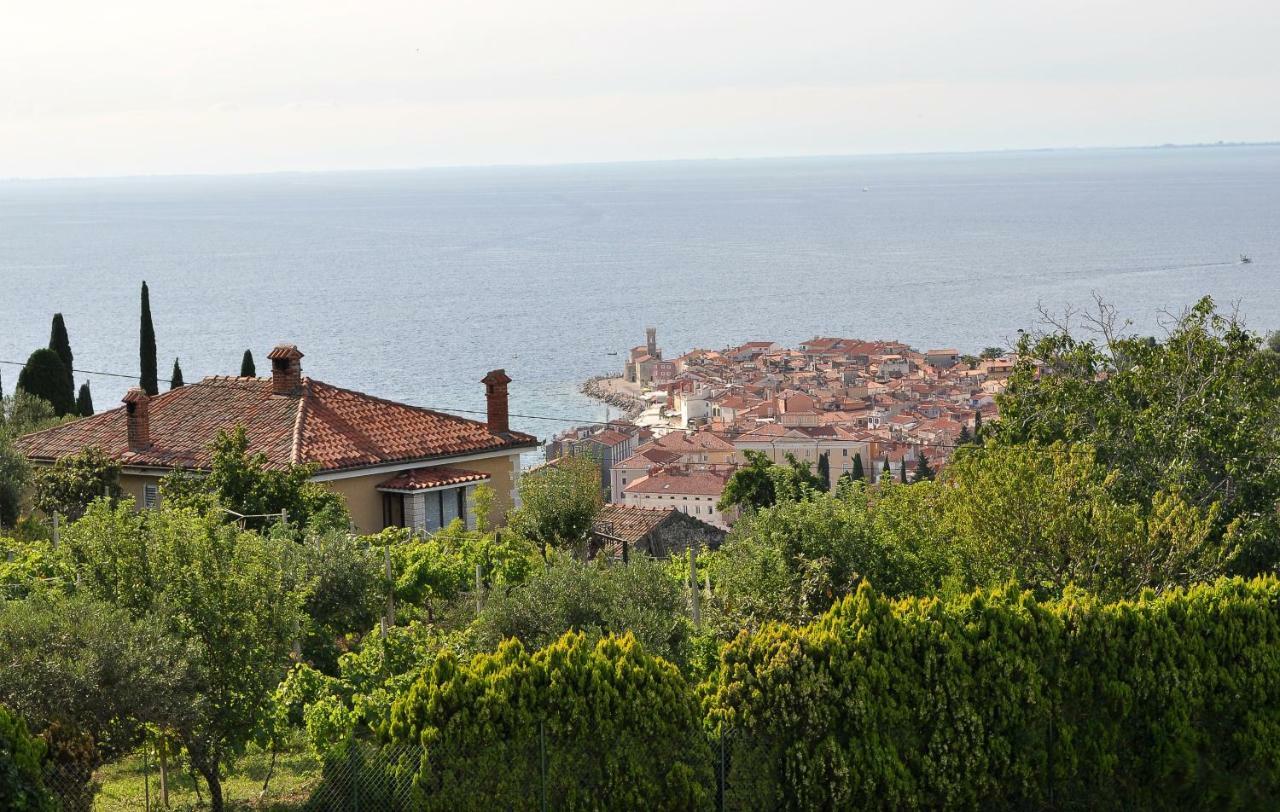 Apartments Neja Piran Exterior photo